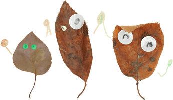 園からのお知らせ 落ち葉で作った作品の写真